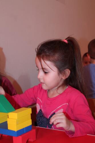IMG 4082 (Medium)